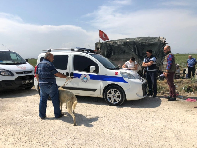 Direğe Bağlanıp Aç Bırakılan Köpekler Kurtarıldı