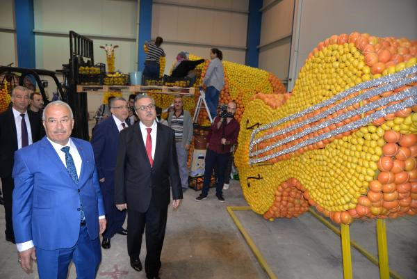 Mersin, Narenciye Festivali’ne İddialı Hazırlanıyor