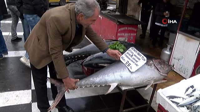 Ton Balığına Yoğun İlgi…1,5 Metre Boyunda 70 ile 100 Kilo Aralığındaki 4 Ton Balığı Görenlerin…
