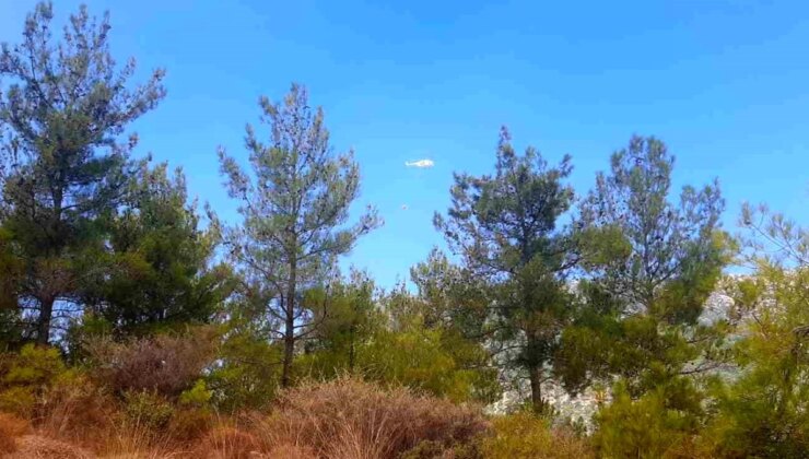 Mersin’de Orman Yangınına Havadan ve Karadan Müdahale