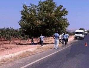 Şanlıurfa’da genç öğretmenin cesedi fıstık bahçesinde bulundu