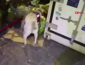 Mersin’de Uyuşturucu Operasyonu: 20 Gözaltı